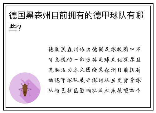 德国黑森州目前拥有的德甲球队有哪些？